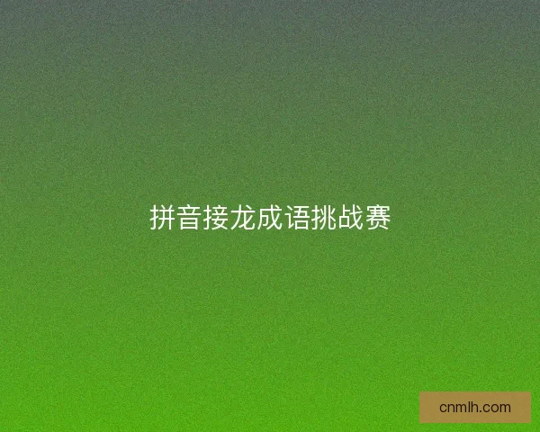 拼音接龙成语挑战赛