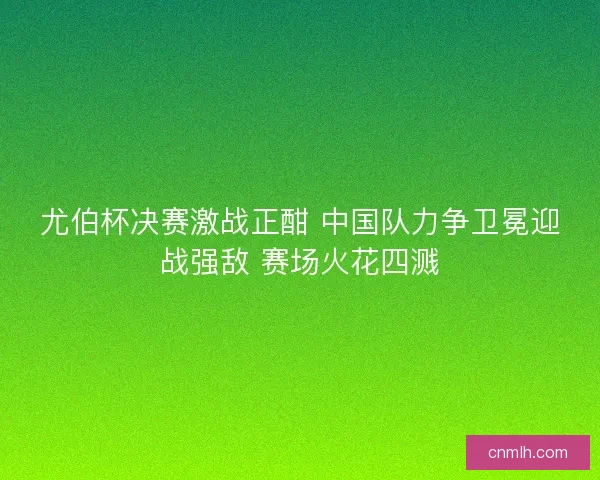尤伯杯决赛激战正酣 中国队力争卫冕迎战强敌 赛场火花四溅