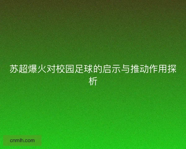 苏超爆火对校园足球的启示与推动作用探析