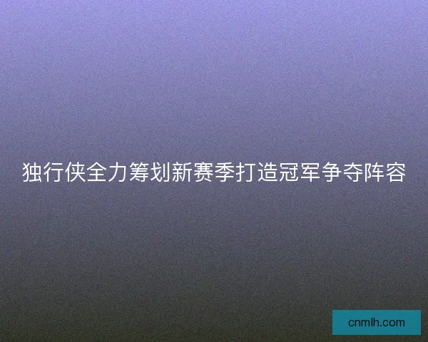 独行侠全力筹划新赛季打造冠军争夺阵容