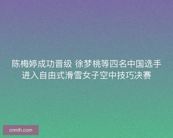 陈梅婷成功晋级 徐梦桃等四名中国选手进入自由式滑雪女子空中技巧决赛